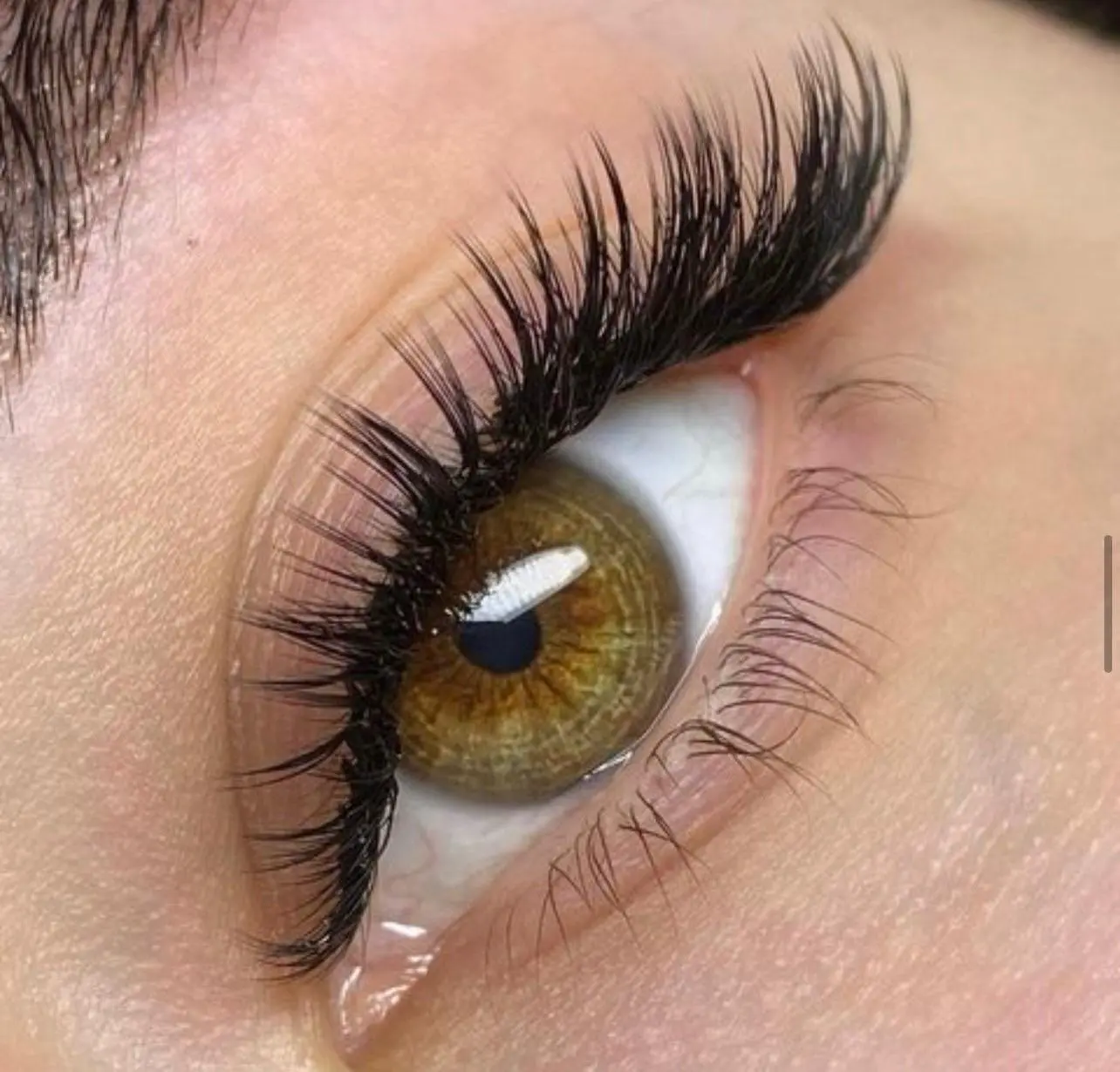 2D Volume Lash Extension