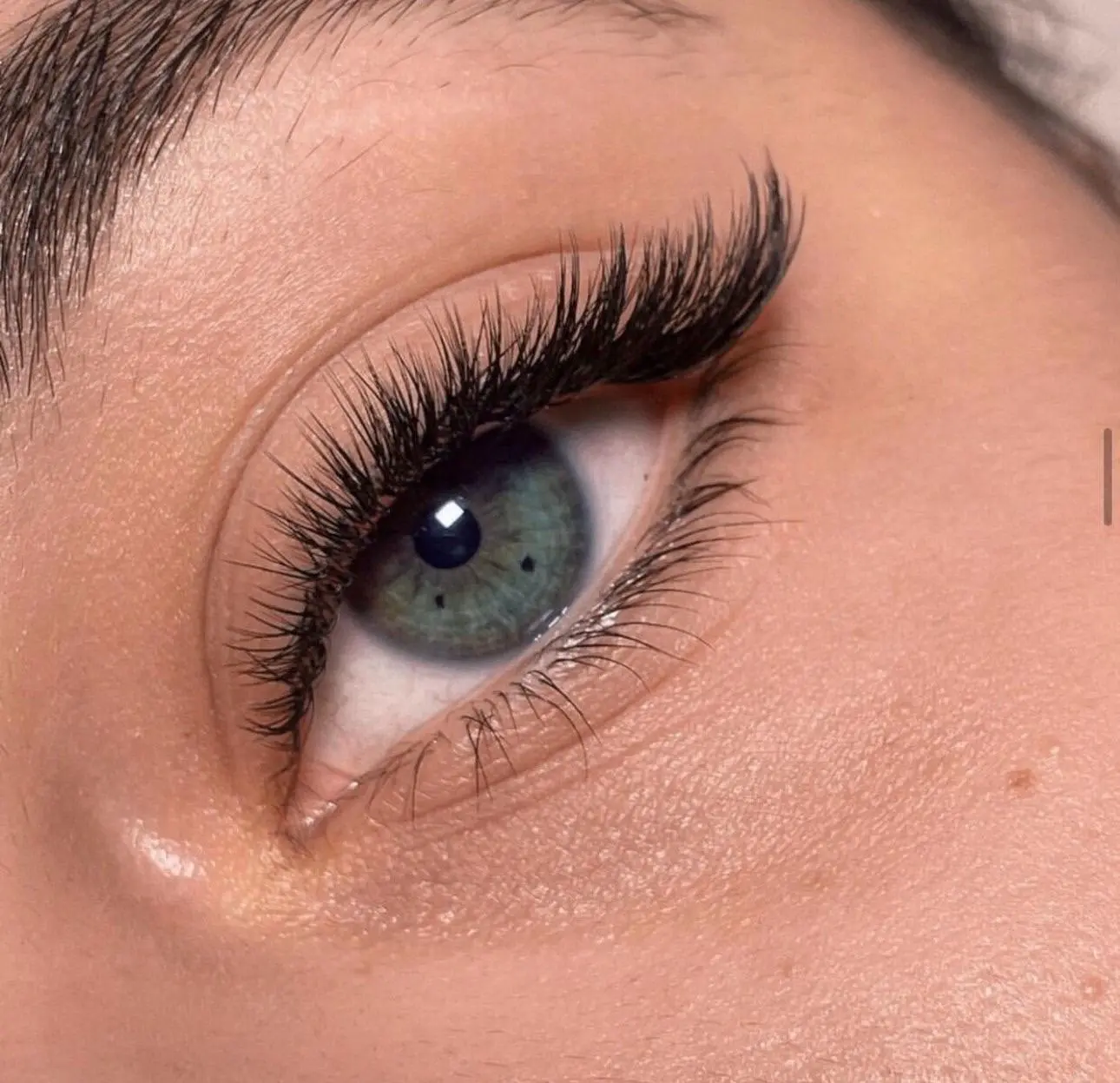 2D Volume Lash Extension